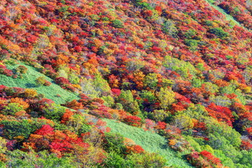 那須　朝日岳の紅葉