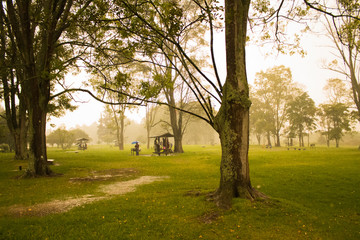 Despues de que la lluvia inicio