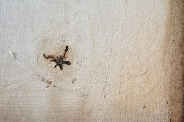 White Old Wood  Texture