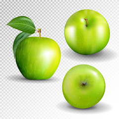 Green apple collection. Set of fruit isolated on white. Realistic vector, 3D