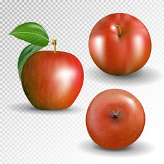 Set red apple isolated on transparentbackground. Vector, 3D