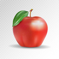 Red apple on transparent background. Vector, 3D