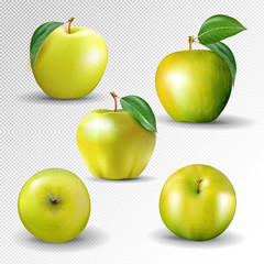Yellow apple collection. Set of fruits and leaf isolated on white. Vector, 3D
