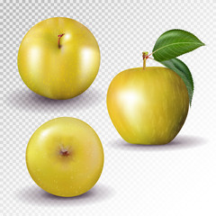 Yellow apple collection. Set of fruits and leaf isolated on white. Vector, 3D