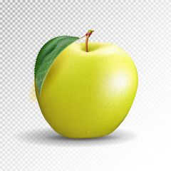 Yellow apple isolated on transparent background. Vector, 3D