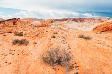 amazing sandstone shapes at valley of fire national park, nevada