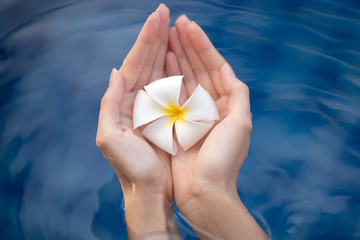 Beautiful woman hands holding flower. Water Background.