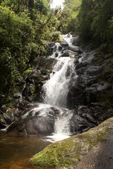 Fototapeta premium Waterfall