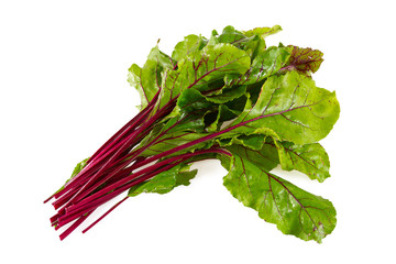 beetroot leafs isoalted on white