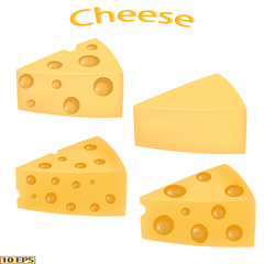 Cheese in realistic style isolated on white background. Vector illustration for recipe, menu restaurant, kitchen interior design.