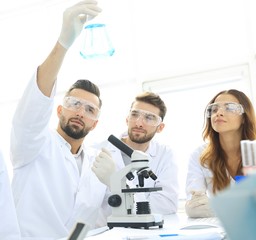 Fototapeta premium group of young workers are working in biochemistry lab,