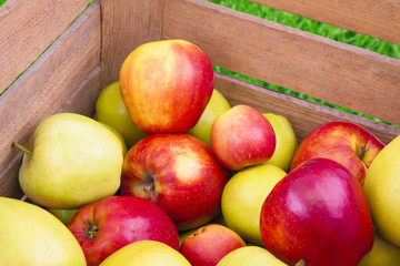 Fototapeta na wymiar Fresh apples in wooden box