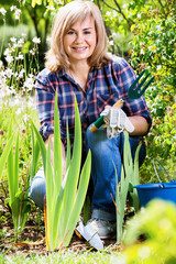 Mature woman planting corn-flag flower in garden on sunny day