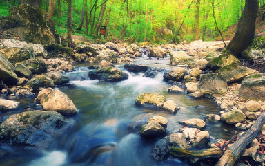 Forest stream / Beautiful motion blurred water stream landscape in a green bakony forest in Hungary