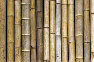 Wall from natural bamboo closeup as background.
