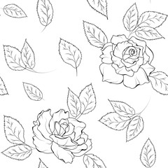 Seamless vector pattern of hand drawn rose flowers and leaves. Black outline on white background. Simple floral design element. Rosa flowering plant.