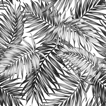 Seamless Hand Drawn Tropic Exotic Botanical Vector Pattern Texture With Rainforest Jungle Tree Palm Leaves Foliage. Black And White Illustration. Twilight Night Time.