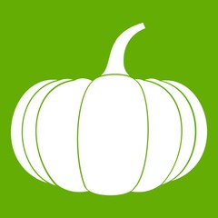 Ripe pumpkin icon green