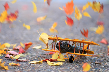 Obraz premium Autumn leaves blowing in the wind across a yellow model airplane