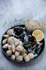 Metal plate with raw fresh vongole clams and mussels on ice, selective focus, vertical shot