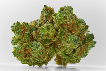 Close up of prescription medical marijuana Banana Cookies flower on white background