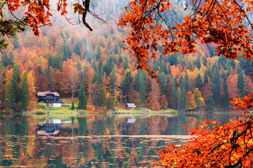 Fototapeta na wymiar Autumn foliage at the alpine lake