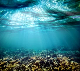 unter Wasser © vovan