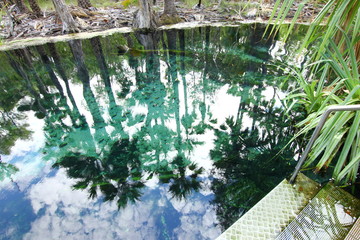 Mataranka hot springs, Australia