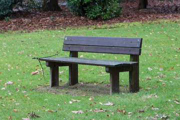 Simple bench in a park