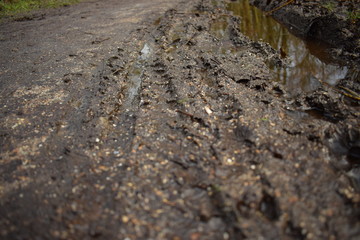 mud