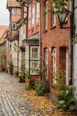 Fototapeta na wymiar Small alley in Lüneburg in autumn