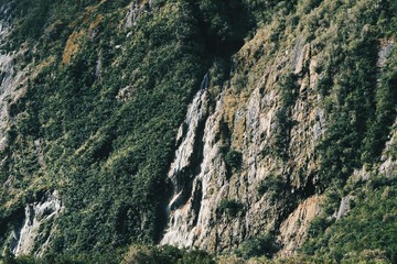 nature of New Zealand