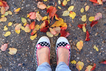 Woman's feet in colorful sneakers in autumn leaves