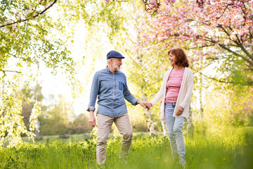 Fototapeta premium Beautiful senior couple in love outside in spring nature.