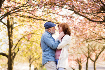 Fototapeta premium Beautiful senior couple in love outside in spring nature.