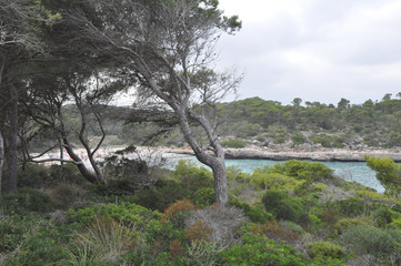 Cala Mondrago beach in Majorca