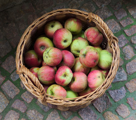 apple basket