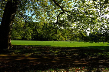 Dans le parc, Lyon, France