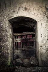 Fototapeta na wymiar Ancient winery's door in Tuscany # 11