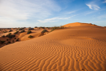 Sturts Stony Desert