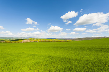 Fototapeta premium Italian landscape with meadows