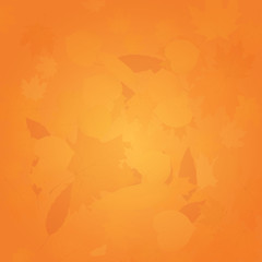 Abstract nature background. Scattered leaves. Autumn colors