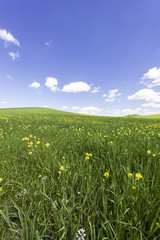 Fields, pastures and farmhouse