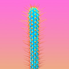 Cactus. Art Gallery Fashion Design. Minimal Stillife. Trendy Bright Colorful. Concept on Pink background