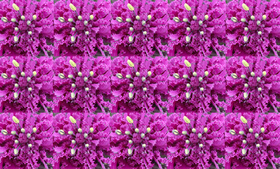 Fototapeta premium collage, background with a texture of flowers in a repeating square