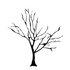 Obraz premium Vector silhouette of tree on white background.