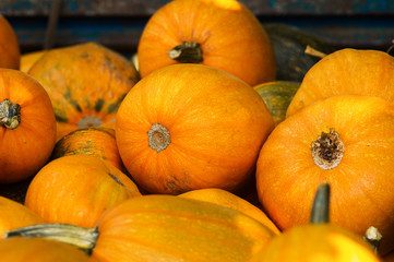 Vintage Yellow Pumpkins for Halloween