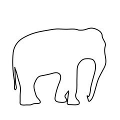 Vector silhouette of elephant on white background.
