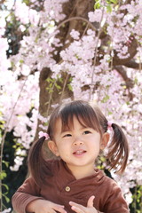 幼児(2歳児)と桜