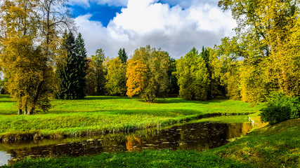 Autumn landscape. Pavlovsk, Russia